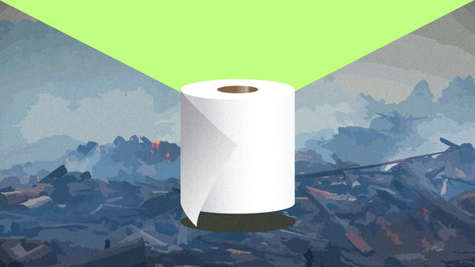 5 problems with traditional toilet paper