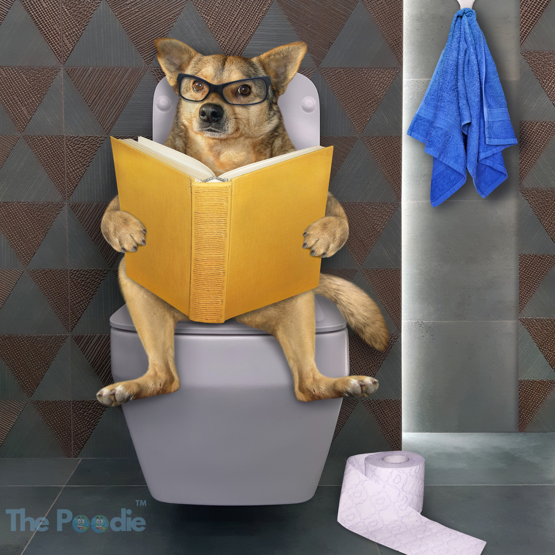 7 ways to be efficient when you're on the throne of glory