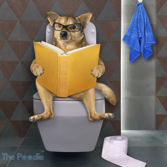 7 ways to be efficient when you're on the throne of glory