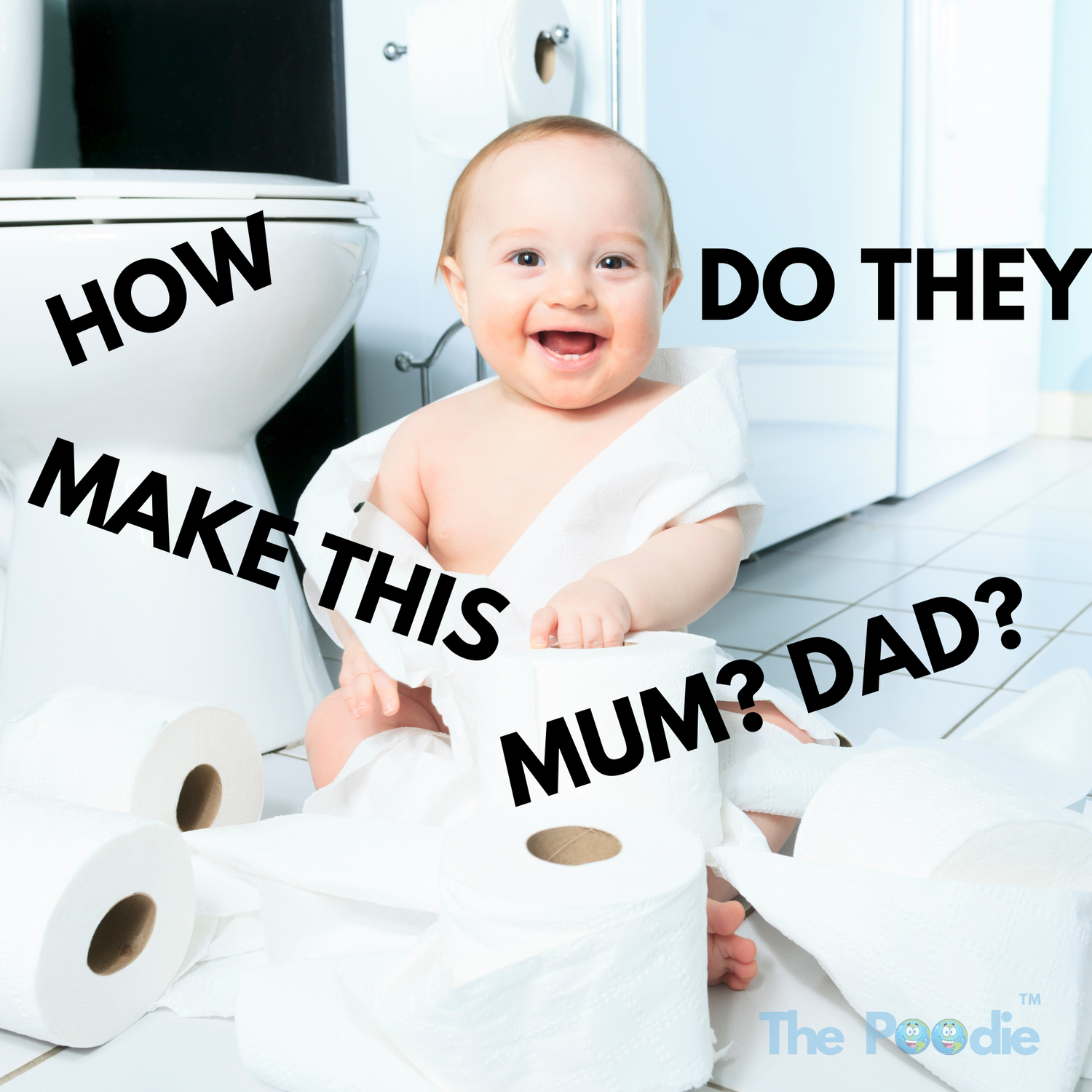 Where is The Poodie toilet paper made?