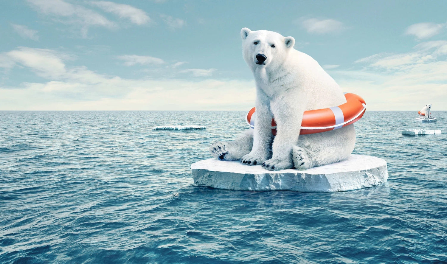 10 alarming environmental figures (and how you can take action)