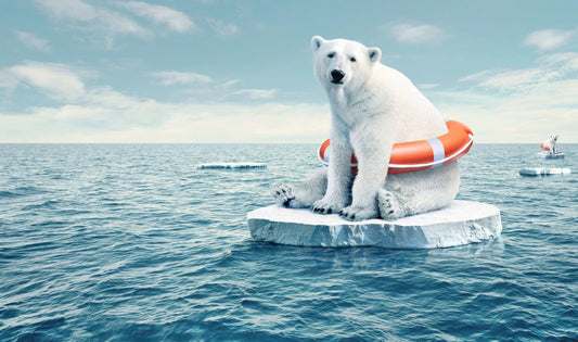 10 alarming environmental figures (and how you can take action)