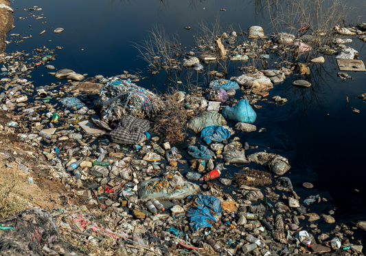 The three main causes of the environmental crisis and how The Poodie addresses them